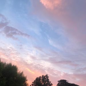 Meet your Posher, Rocio